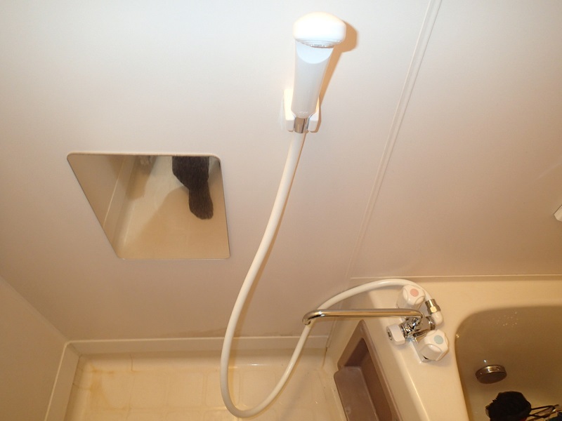 Iマンション　シャワー水栓交換のアイキャッチ画像